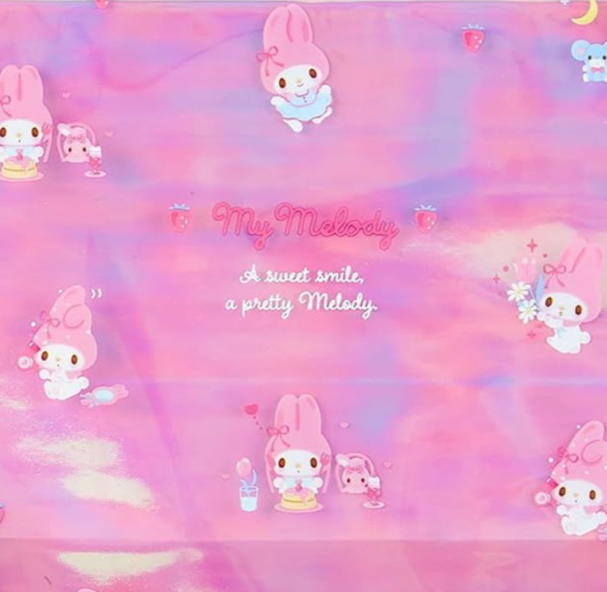 My Melody 5 Pc Vinyl Cases Slide Zip