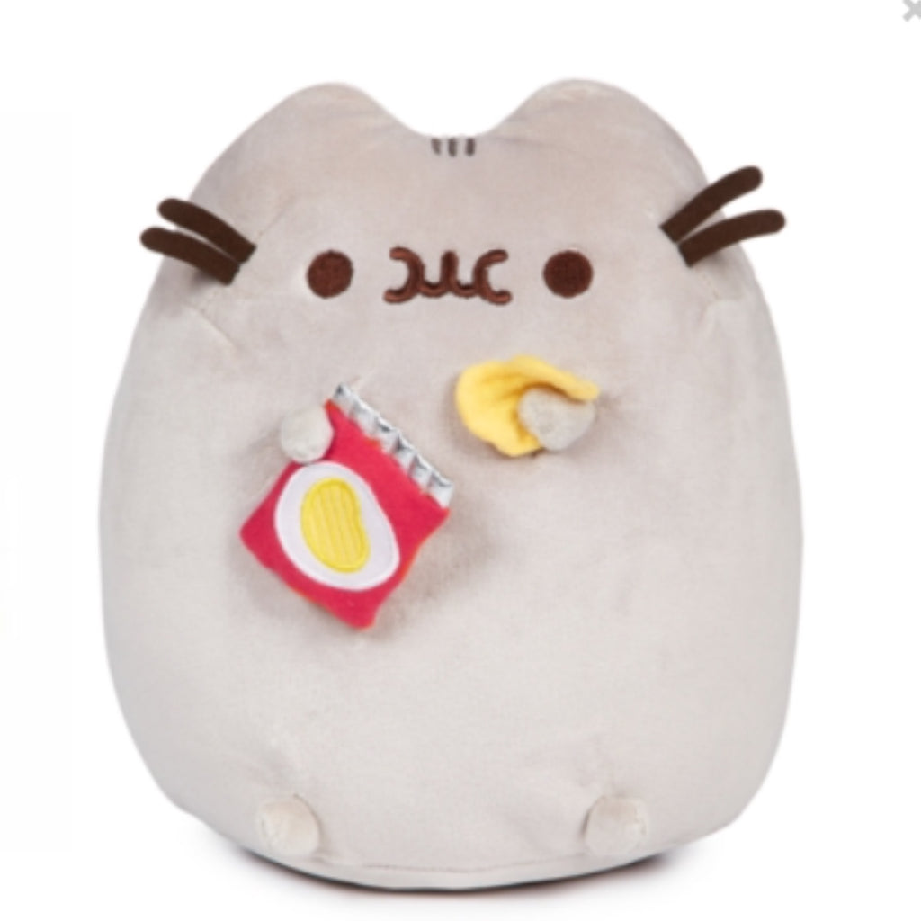 Pusheen doll best sale big